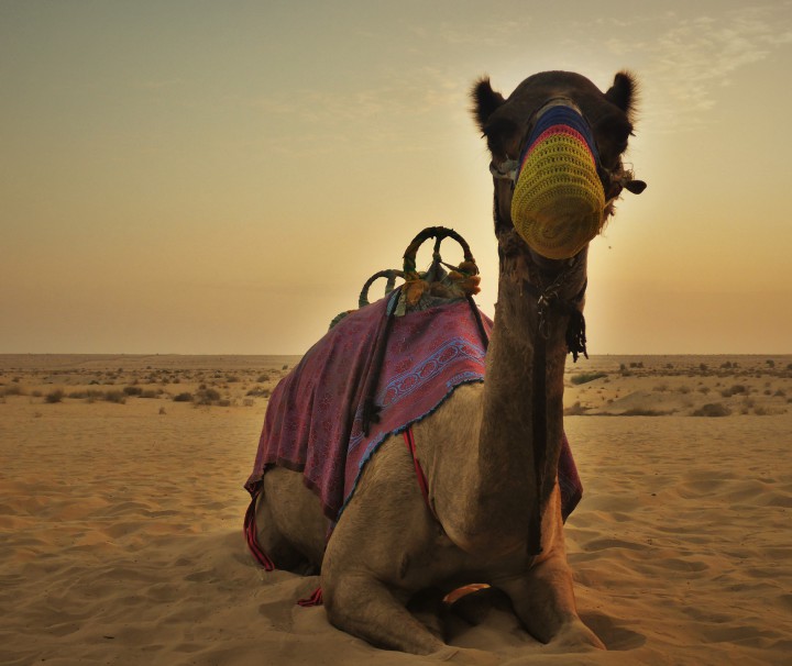 Dubai leute kennenlernen