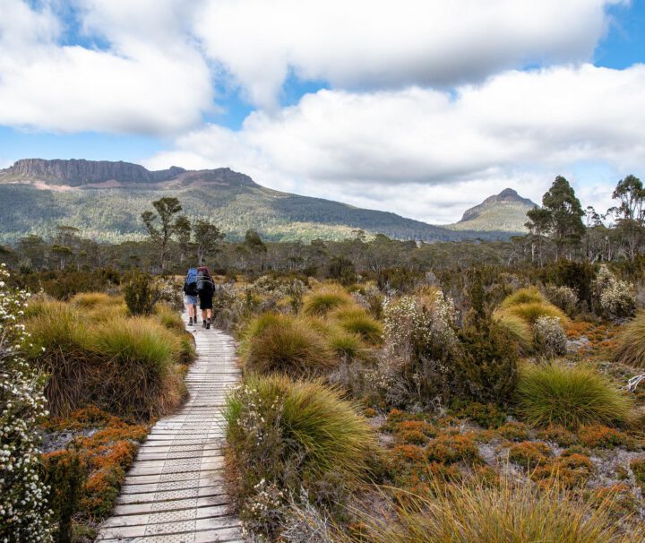 Overland Track Tasmanien