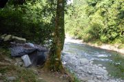 Dschungel, Trekking, Sumatra, Gunung Leuser, Thomas Leave, Affe, Orang Utan, Natur, freilebend, wild, Abenteuer, Individualreisen, on the rocks, Kleingruppe, Regenwald, Tiere, Bukit Lawang, Indonesien, Bali, anderes reisen, Camping