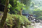 Dschungel, Trekking, Camping, Sumatra, Gunung Leuser, Thomas Leave, Affe, Orang Utan, Natur, freilebend, wild, Abenteuer, Individualreisen, on the rocks, Kleingruppe, Regenwald, Tiere, Bukit Lawang, Indonesien, Bali, anderes reisen