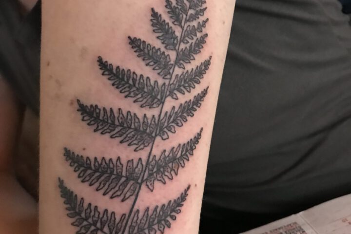 Mein Farntattoo, Neuseeland geht einem unter die Haut