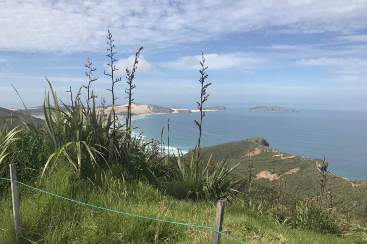 Nordcap, Cape Reinga