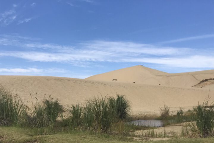 Sanddünen im Norden