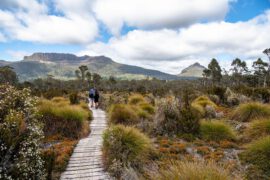 Overland Track Tasmanien