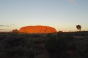 Australien, Outback, Uluru, Ayers Rock, Gras, Draufsicht, Sunset, Sonnenuntergang, erleuchtet