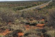 Australien, Outback, Büsche, Straße, roter Sand