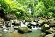 Costa Rica Reise, Rundreise, Abenteuer, Erlebnisreise, kleine Gruppen, Regenwald, Artenreichtum, Naturvielfalt, Mittelamerika